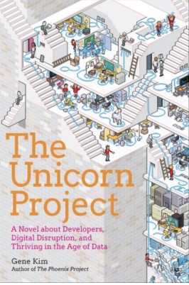 [The Unicorn Project (by Gene Kim)](https://www.amazon.com/Unicorn-Project-Developers-Disruption-Thriving/dp/1942788762/) is the best work-book I read this year (and perhaps *ever*). Highly recommended for DevOps practioners.