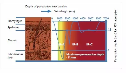 Different wave-lengths of infrared light penetrate differently into the skin. From [Quora](https://www.quora.com/What-does-this-statement-mean-human-tissue-is-permeable-to-far-infrared-light).