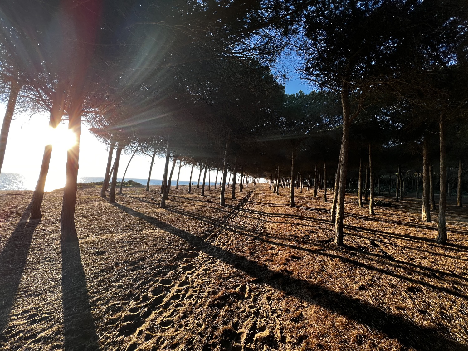 When on a walk like this one while talking to people on the other side of the world during a work meeting, it's hard to not be impressed by both your surroundings and the technology that makes that moment possible.